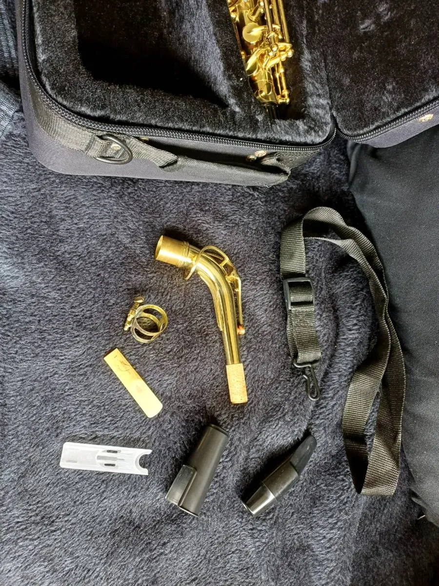 Alto Saxophone Elkhart 100 Bach - Image 2