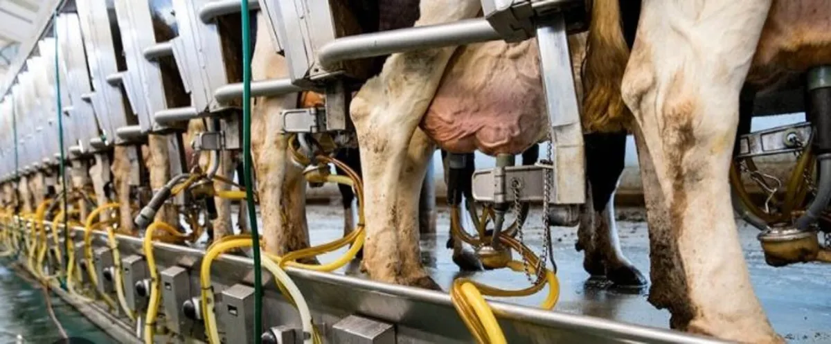 Relief Milker - Image 3