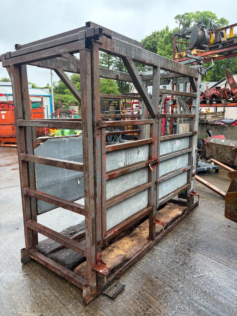 Cattle Crush - Image 3