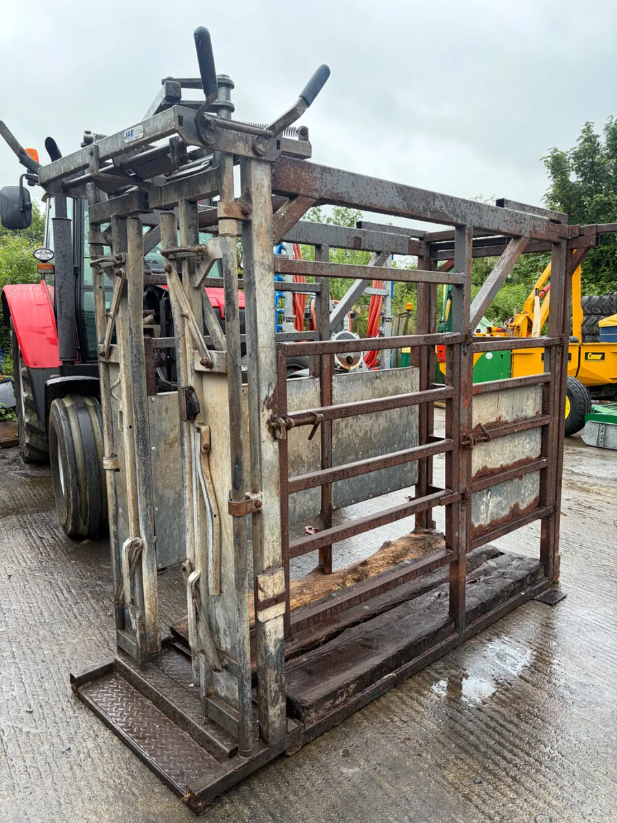 Cattle Crush - Image 1