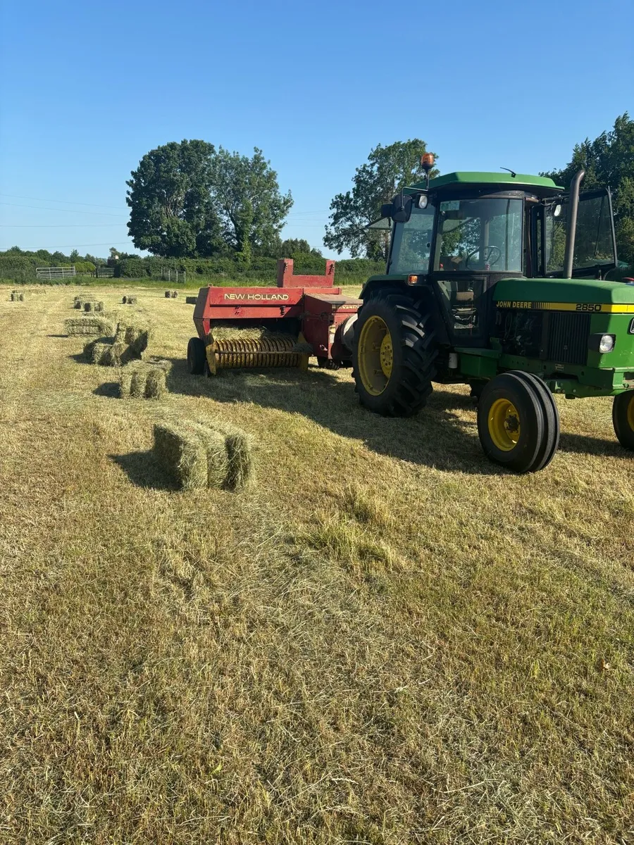 Hay - Image 1