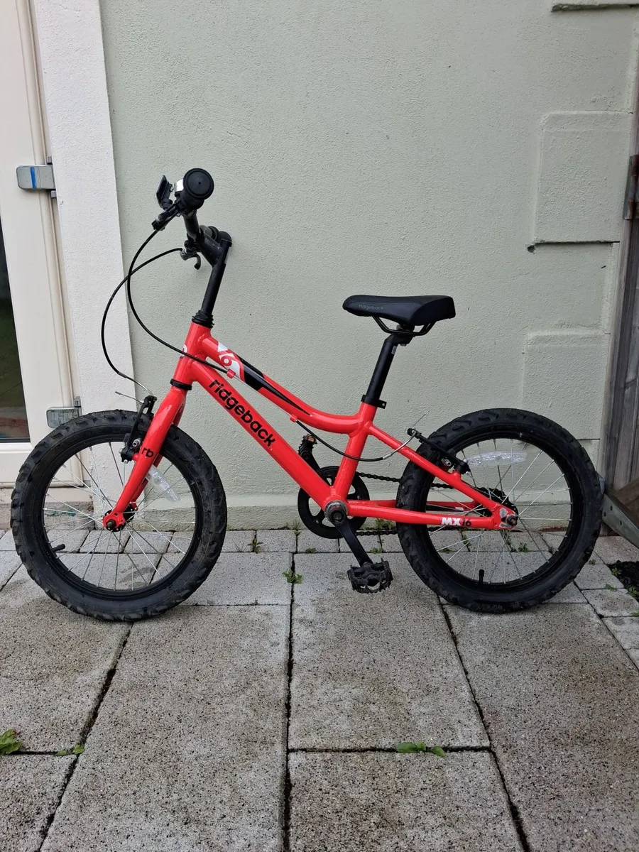 Ridgeback - 12-inch