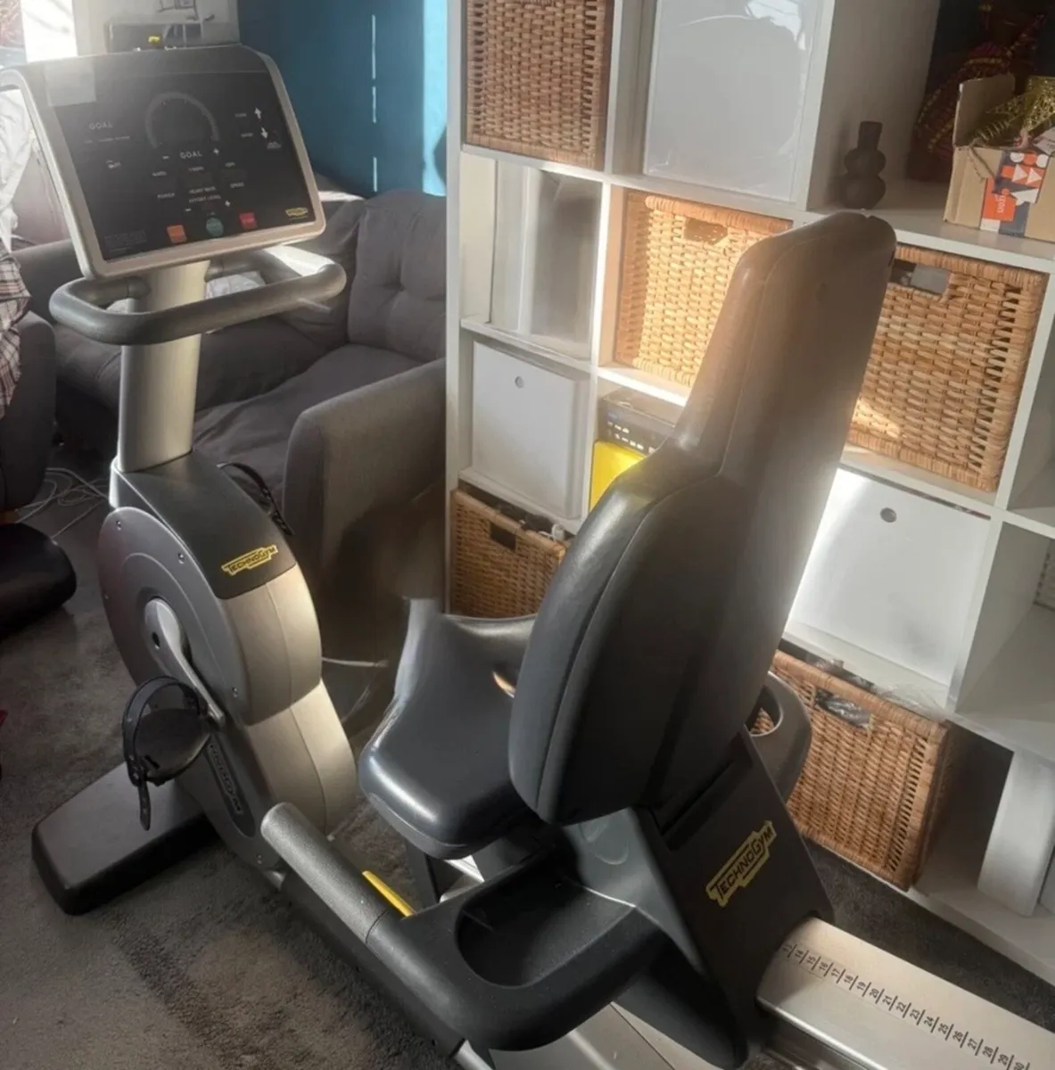 220kg usercapacity Technogym exite recumbent bike - Image 1