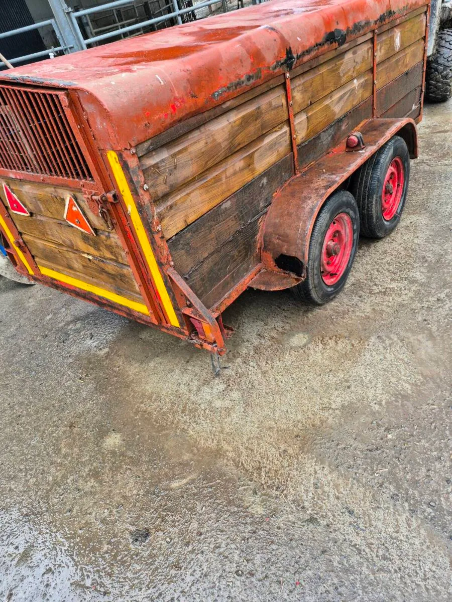 Dog box - Image 1