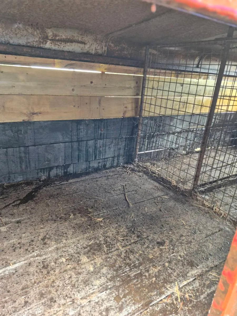 Dog box - Image 4