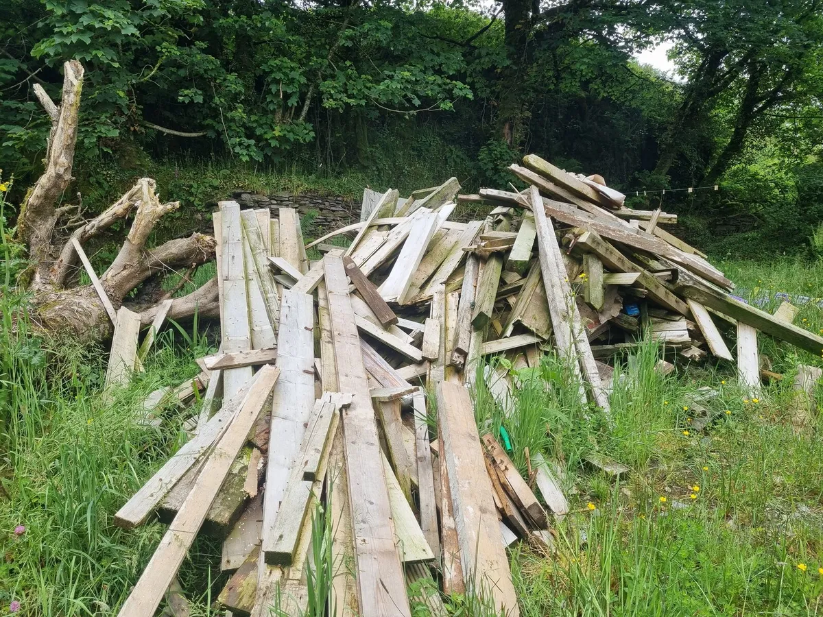 Free timber for firewood