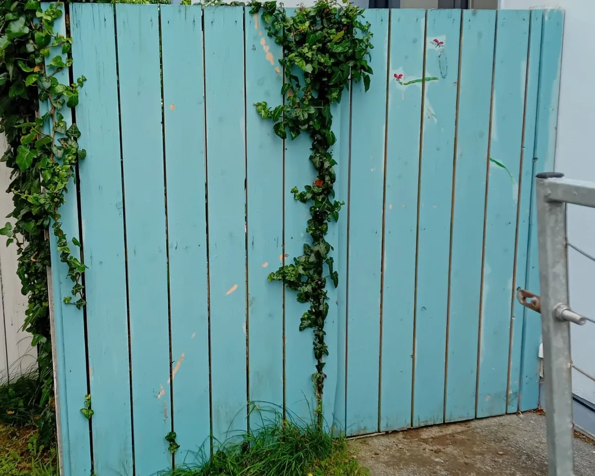 Wooden side gate - Image 1