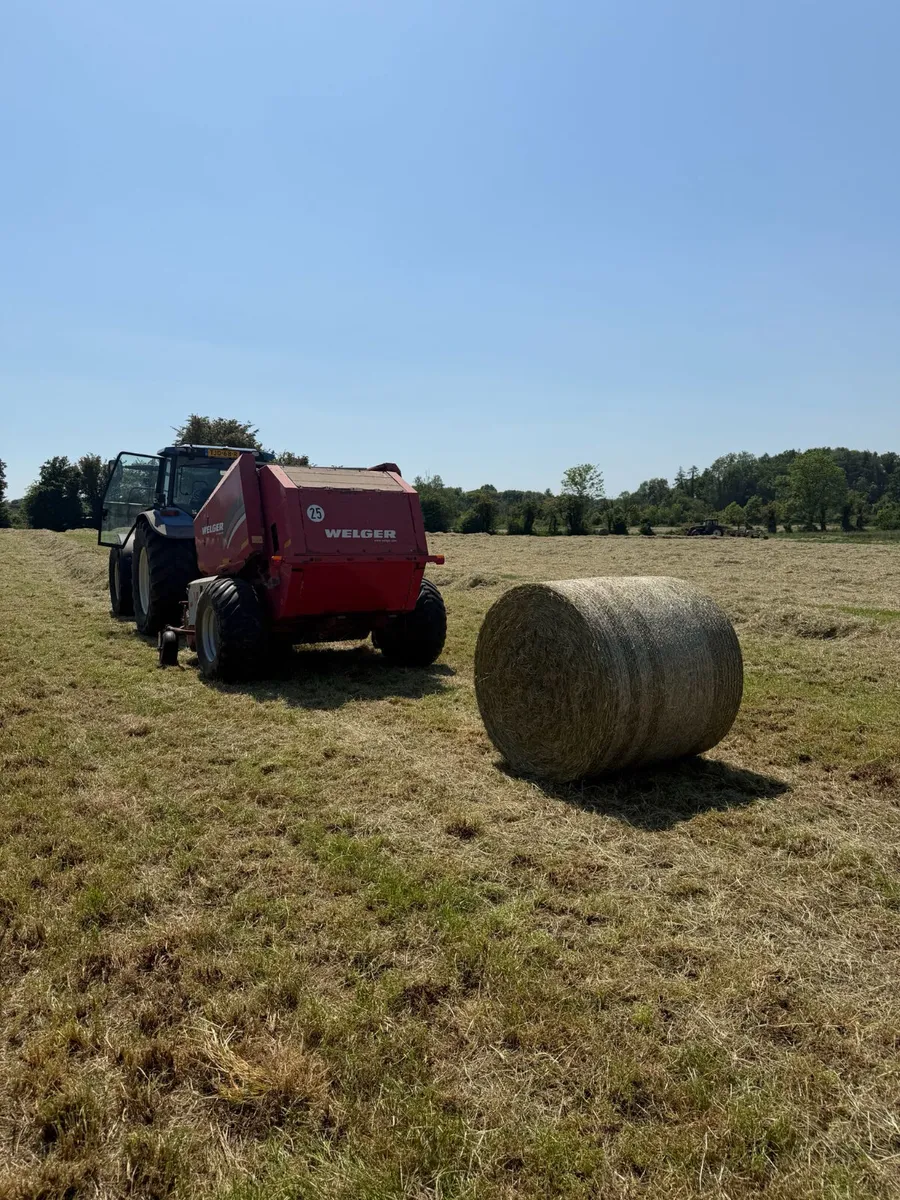 Hay - Image 3