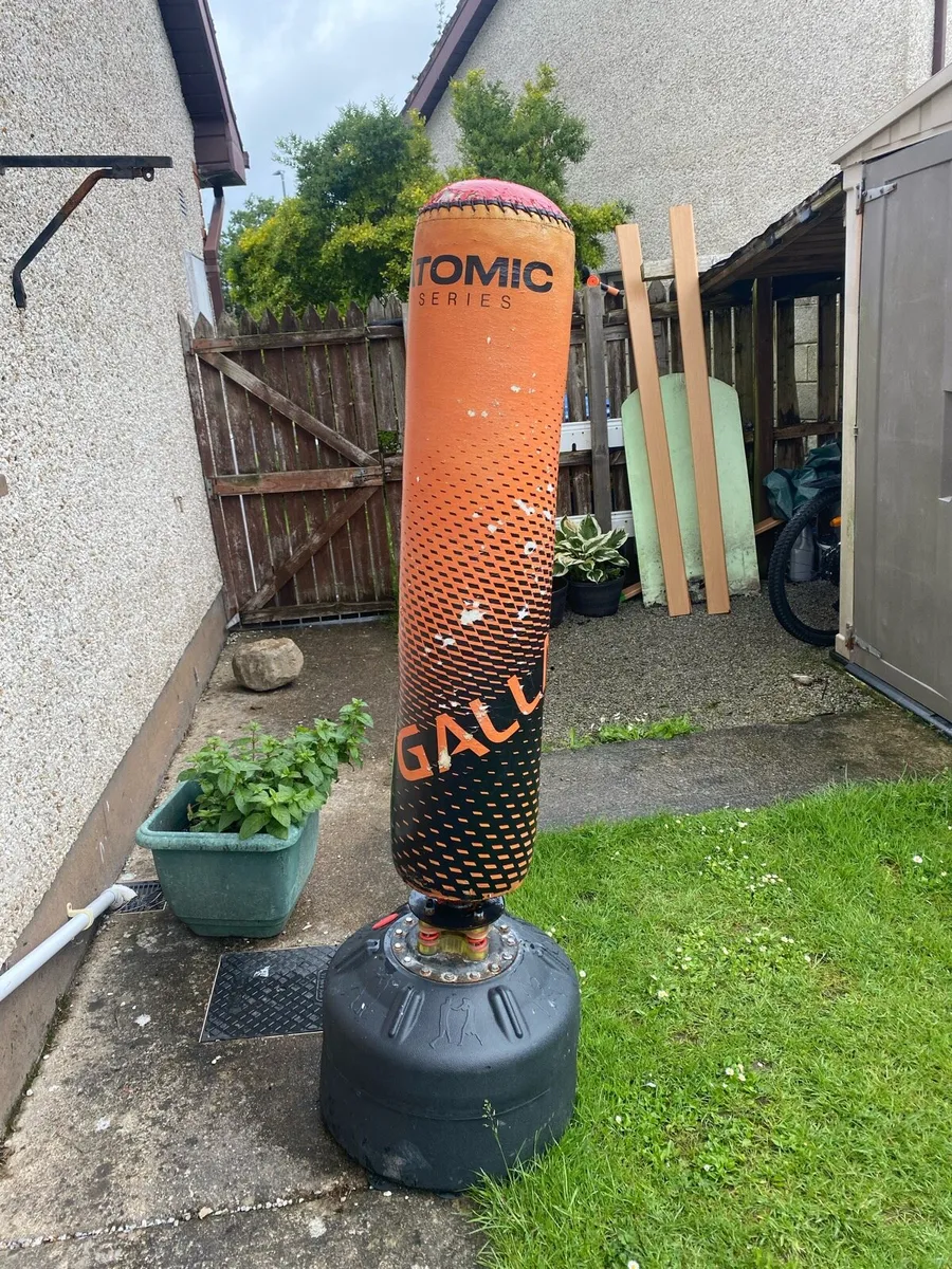 Boxing bag - Image 1