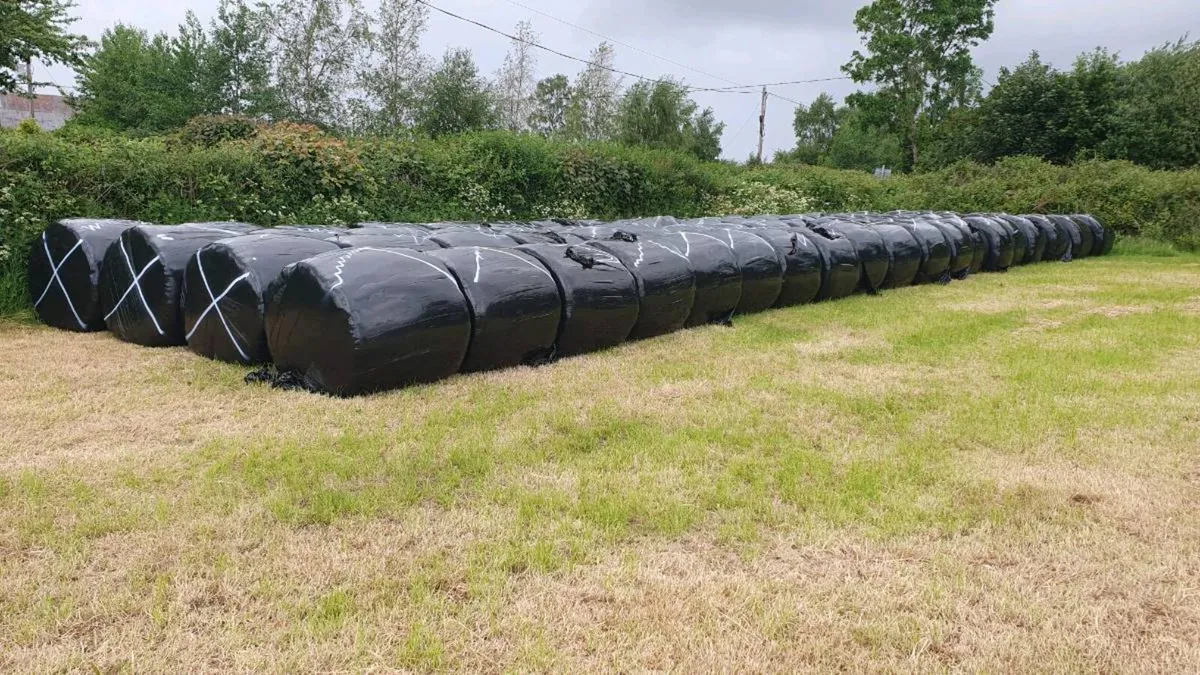 Silage Bales - Image 1