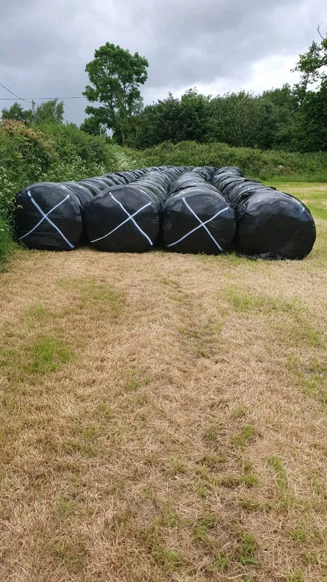Silage Bales - Image 2