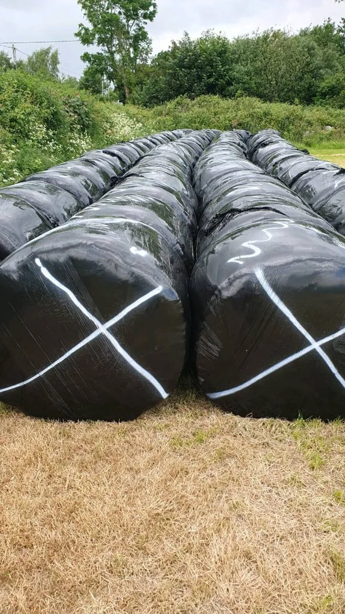 Silage Bales - Image 3