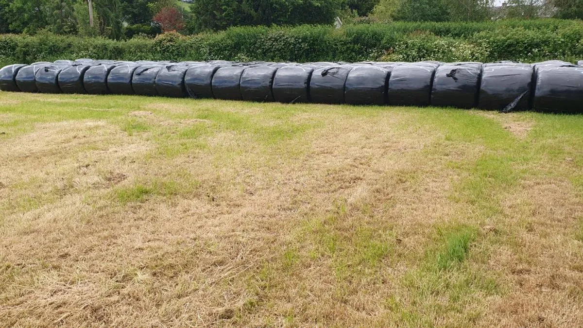 Silage Bales - Image 4