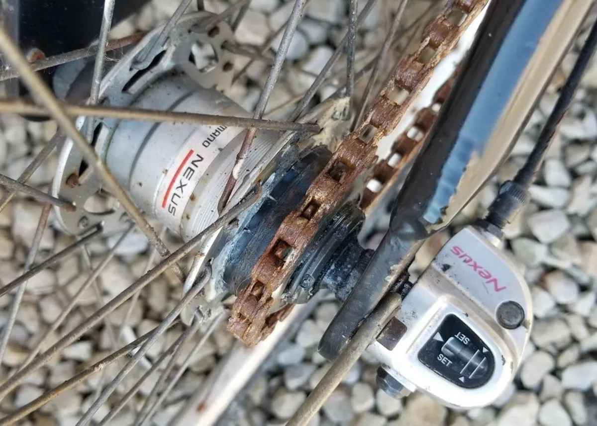 Raleigh Elegance 3-Speed Nexus – Smooth Ride - Image 2