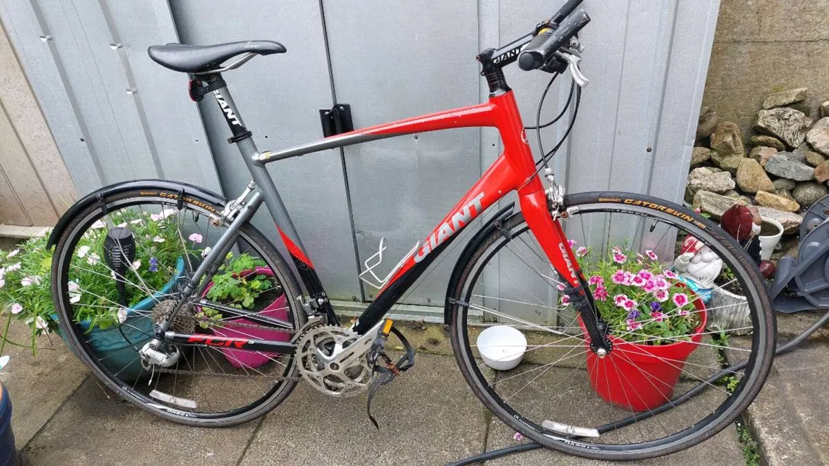 Giant FCR Flat Bar Road Bike Large Frame - Image 1