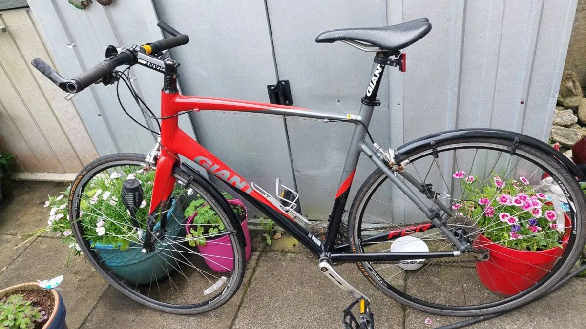Giant FCR Flat Bar Road Bike Large Frame - Image 3