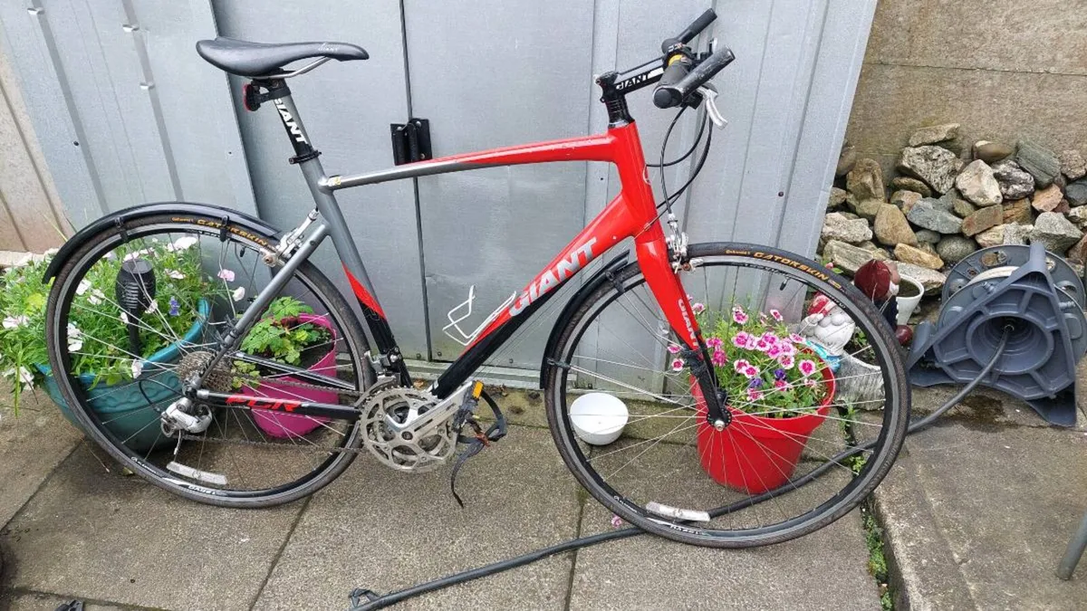 Giant FCR Flat Bar Road Bike Large Frame - Image 4