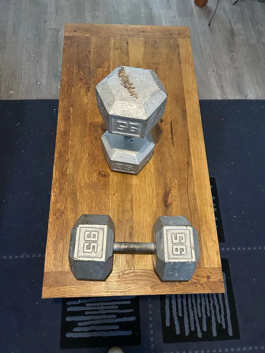 2 x 95 pound / 43 kg - Cast Iron Dumbbells - Image 2