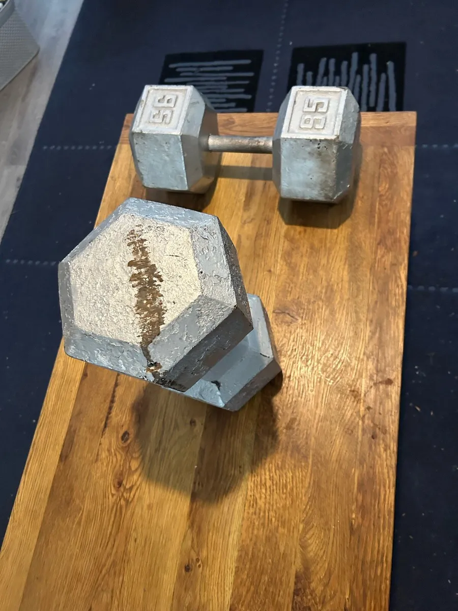 2 x 95 pound / 43 kg - Cast Iron Dumbbells - Image 3