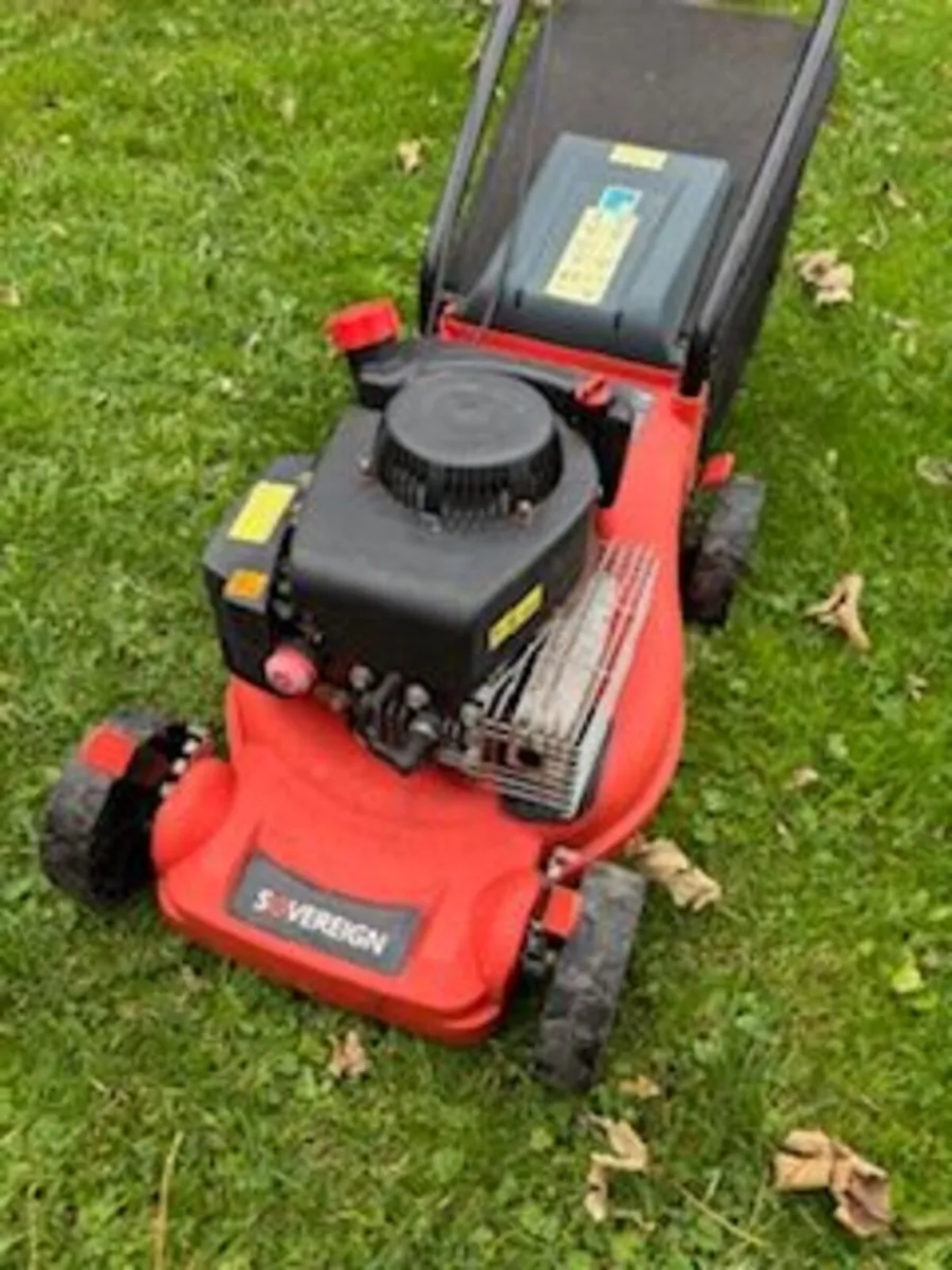Petrol Lawnmower - Image 2