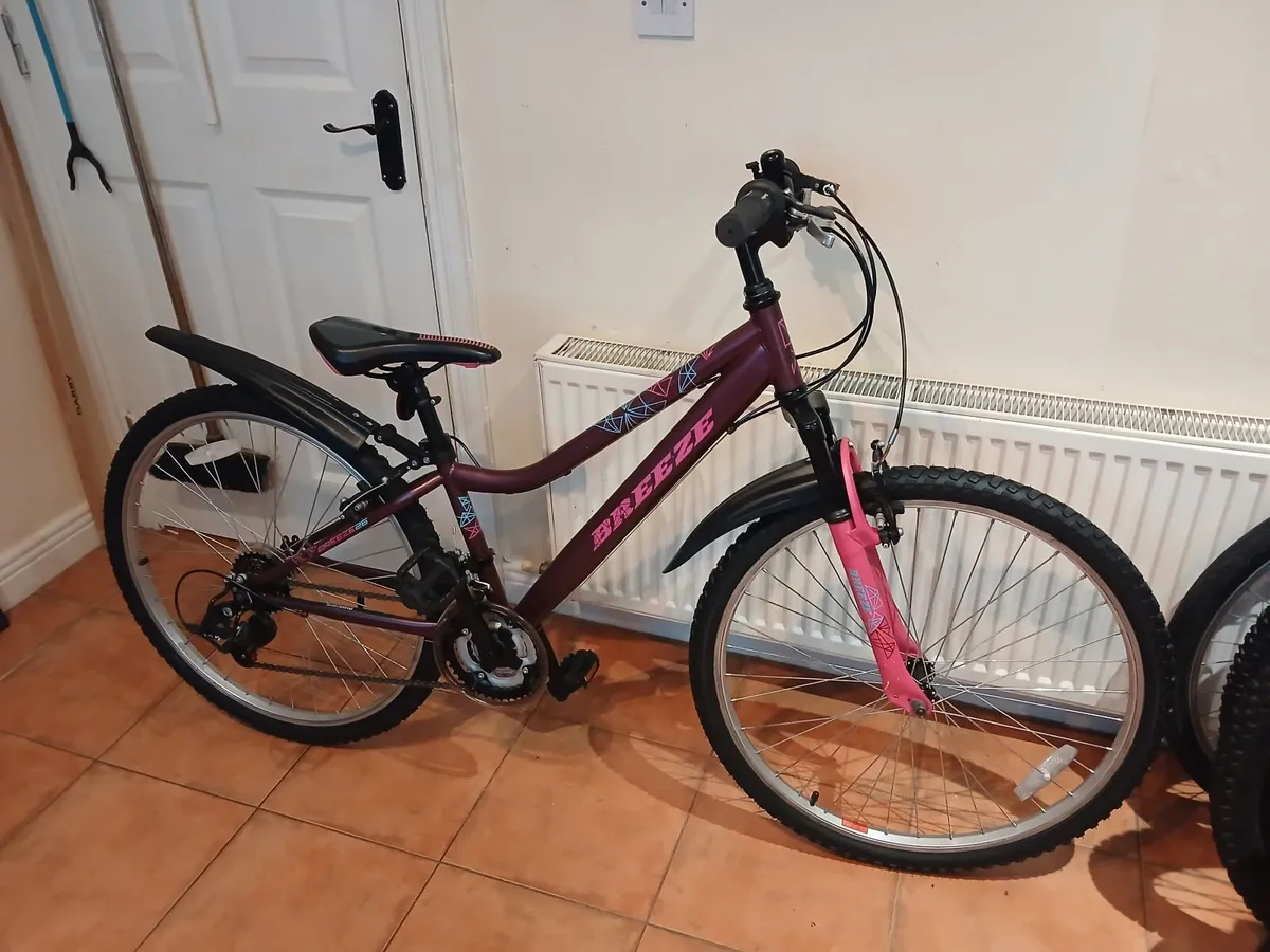Bicycle - Image 4