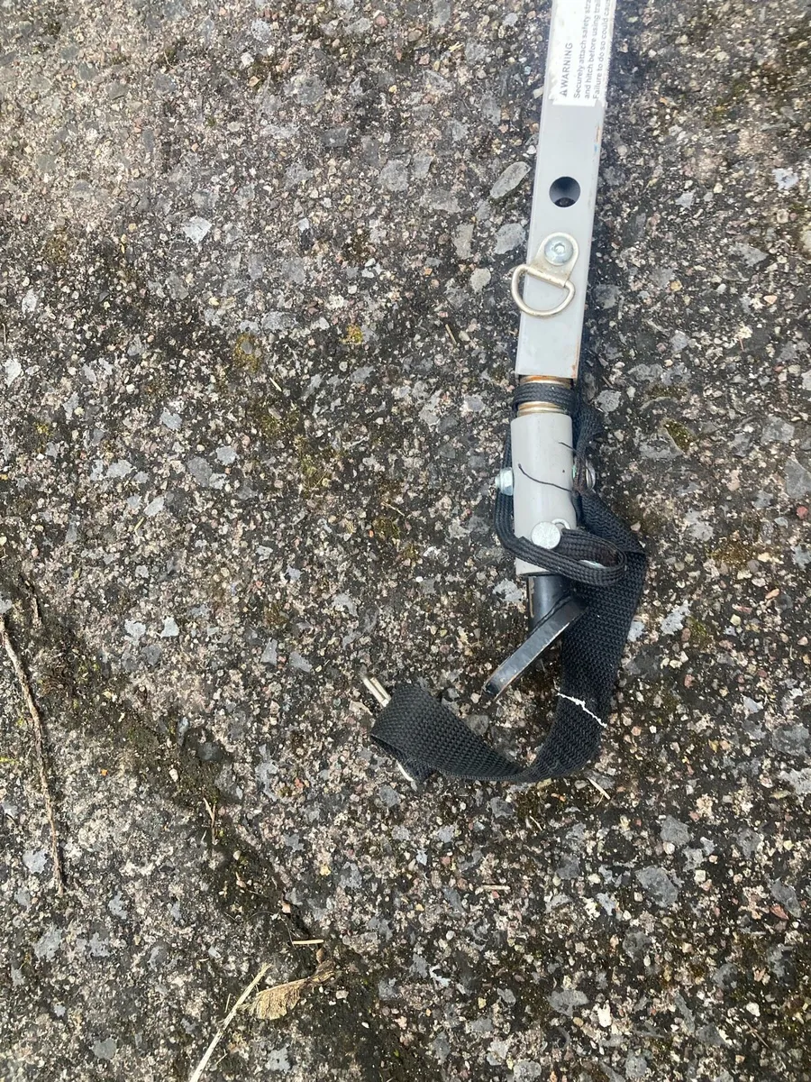 Bike trailer - Image 2