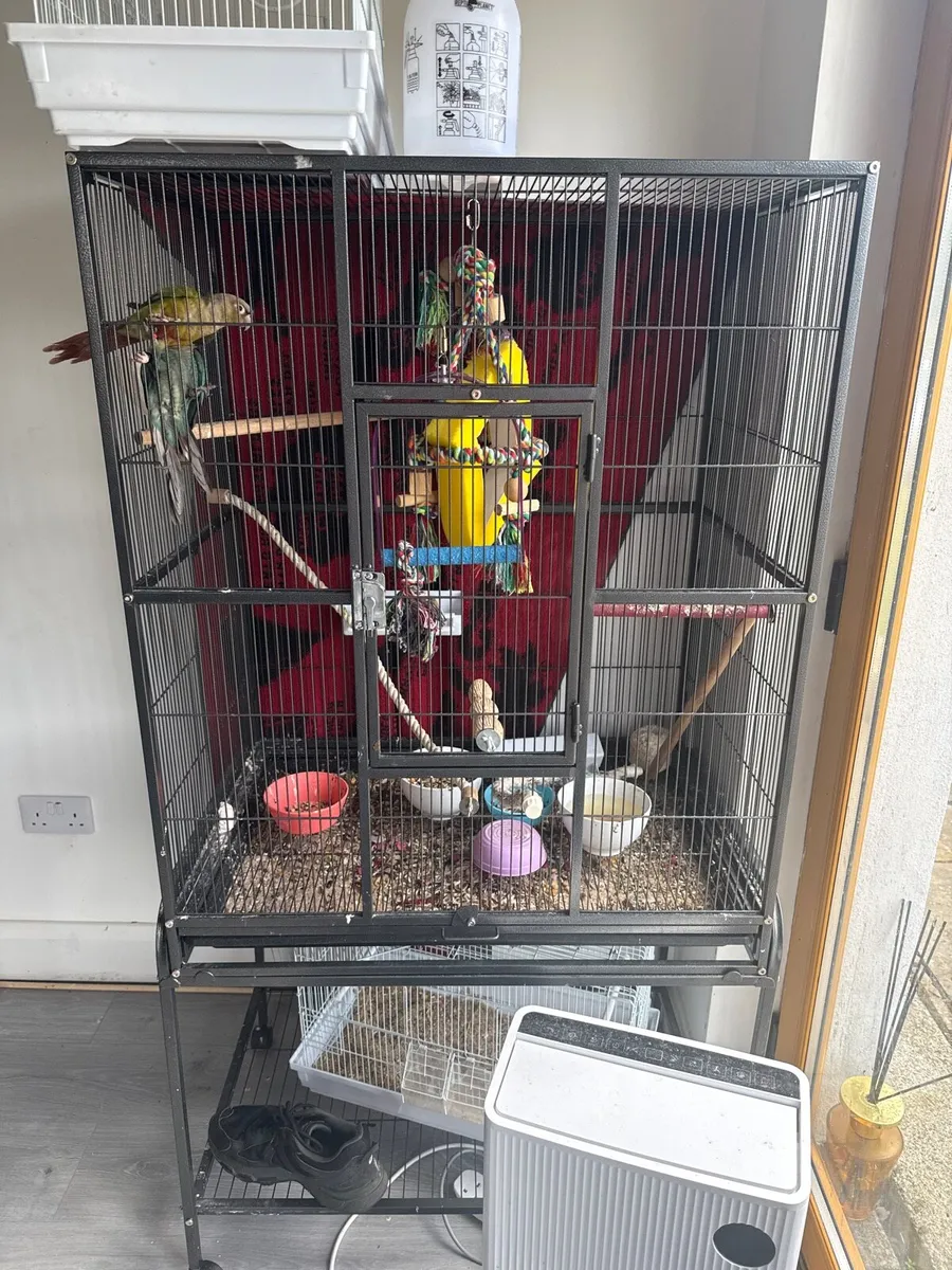 2 hand tame commutes and cage - Image 1