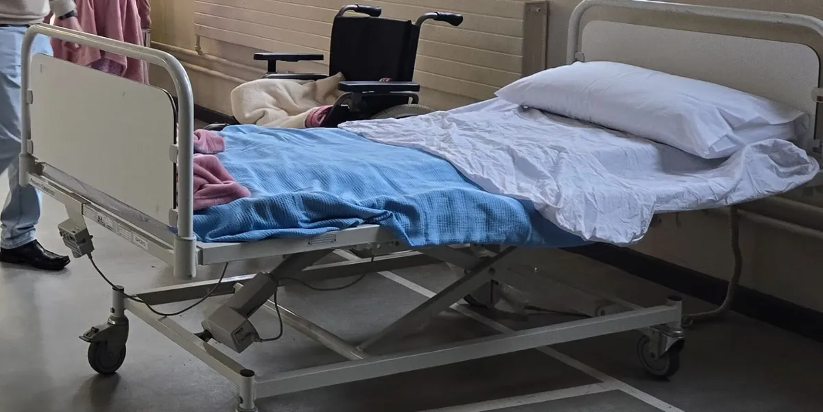 Linet Pegasus Community Electric Hospital Bed with - Image 1