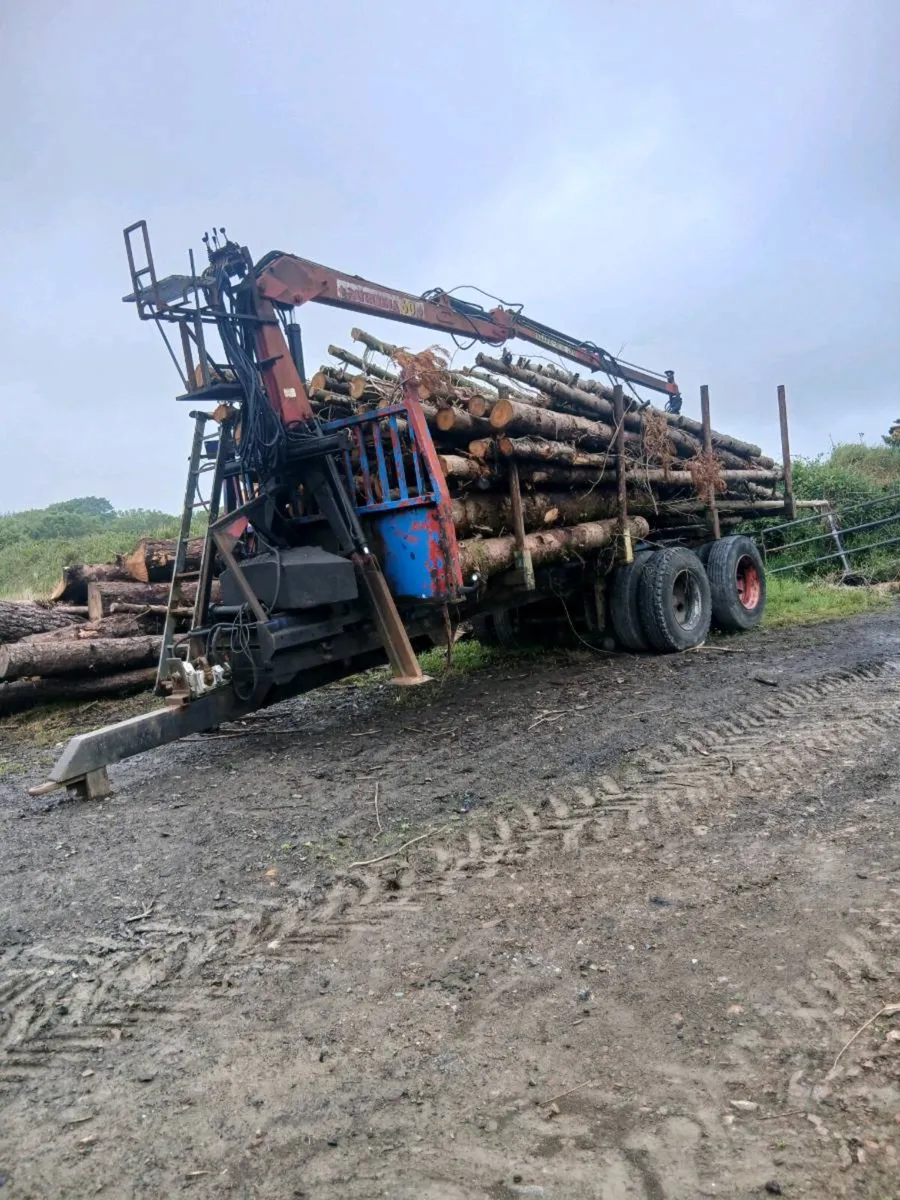 Log crane trailer - Image 2