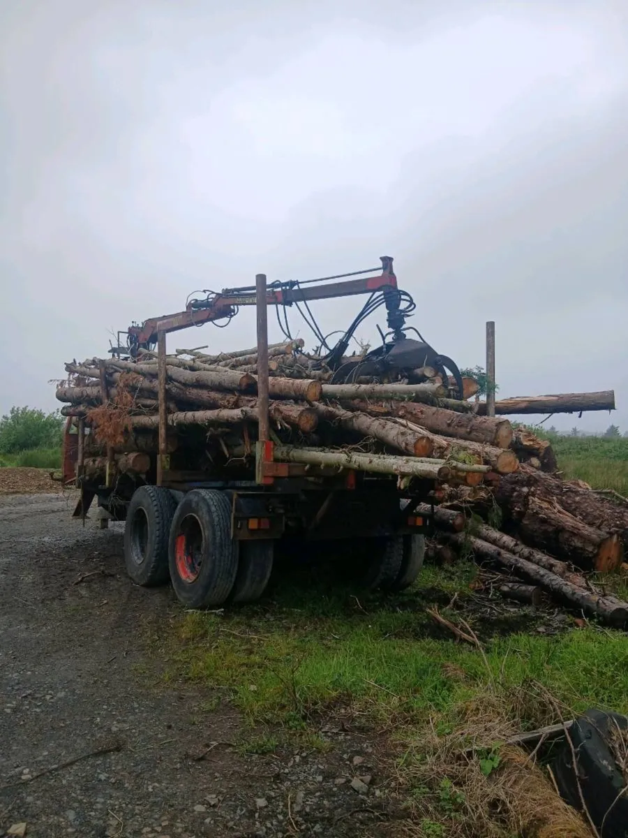 Log crane trailer - Image 3