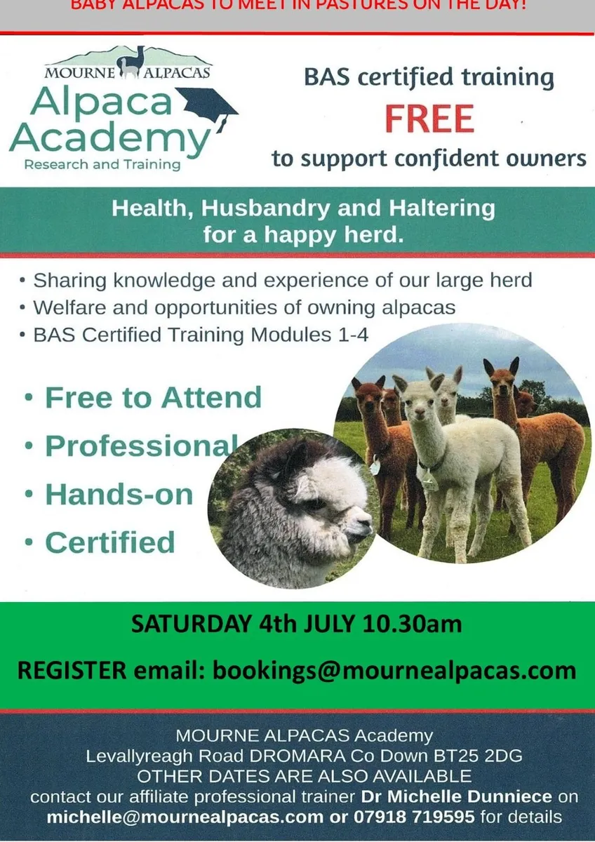 Alpacas  - certified FREE training for husbandry