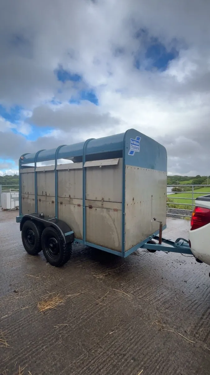 10x5 iforwilliams Cattle trailer - Image 1