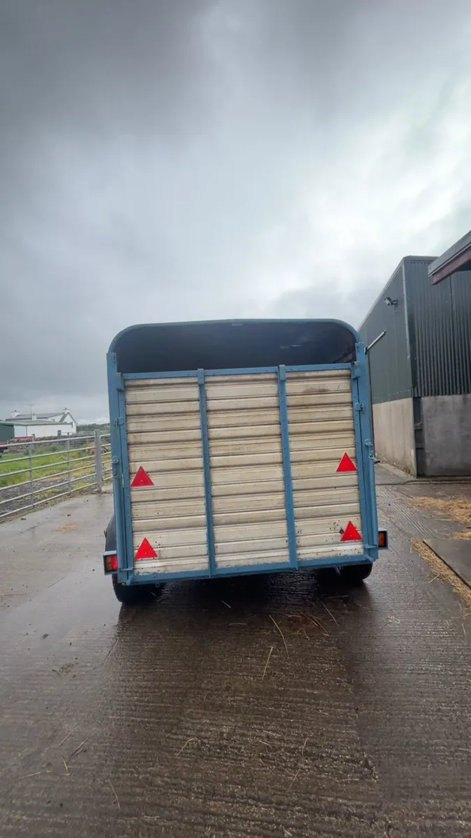 10x5 iforwilliams Cattle trailer - Image 2