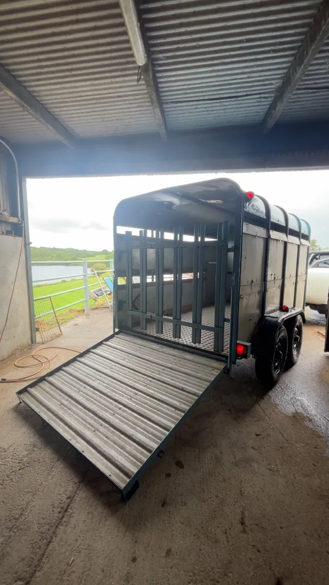 10x5 iforwilliams Cattle trailer - Image 3