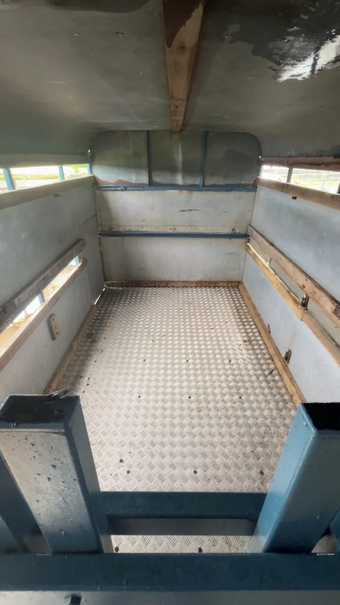 10x5 iforwilliams Cattle trailer - Image 4