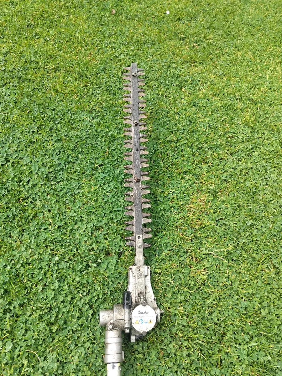 Long reach hedge trimmer - Image 3