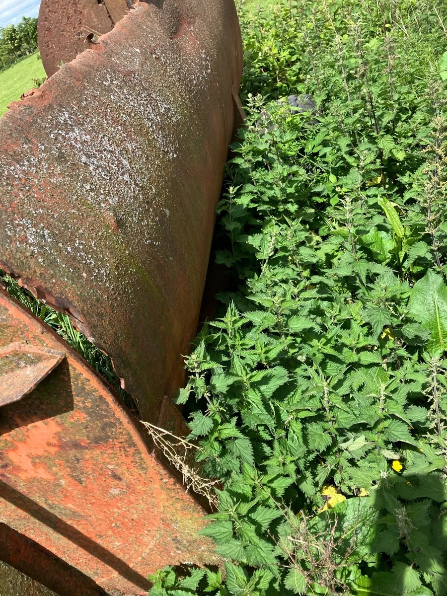 Dung spreader - Image 2