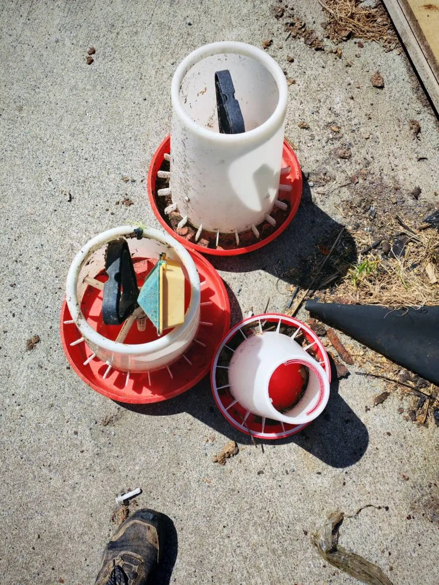 Poultry equipment - Image 3