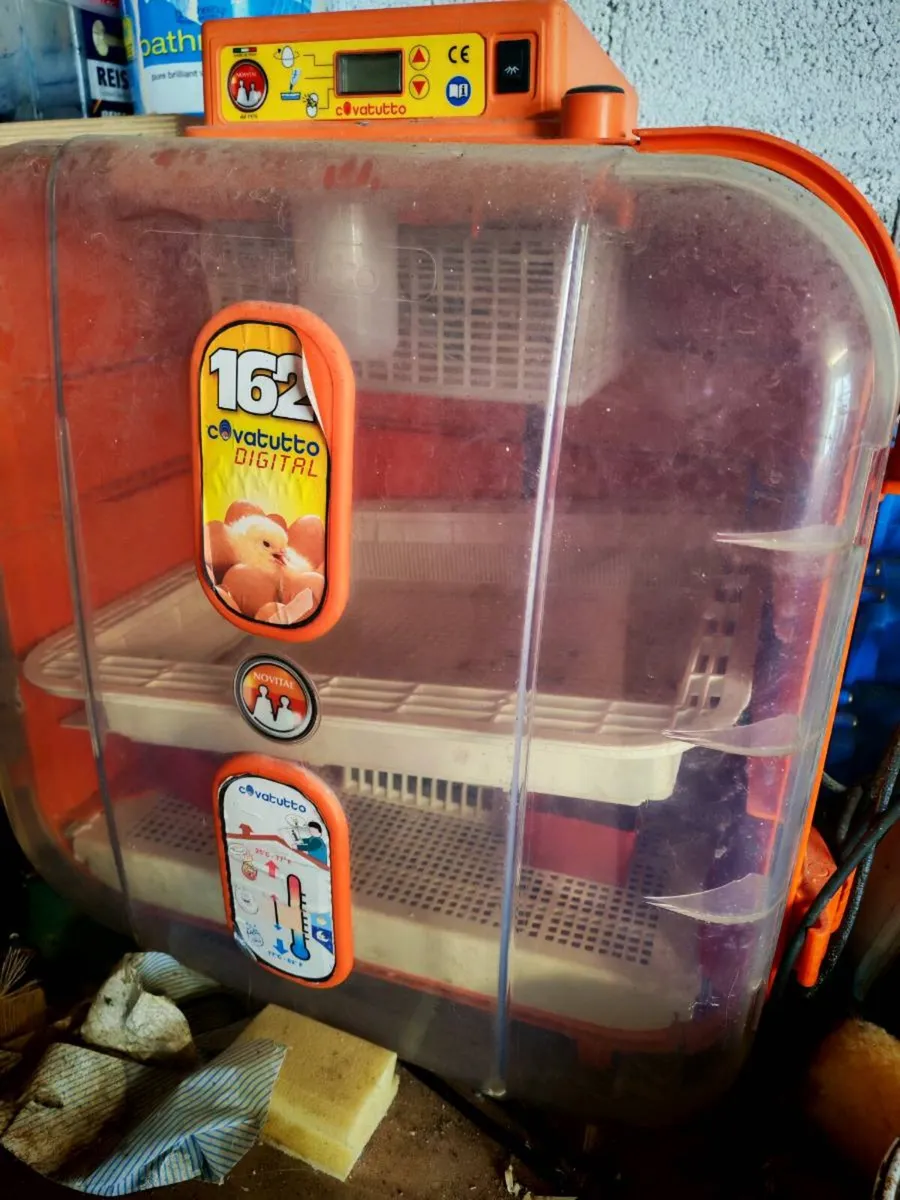 Poultry equipment - Image 4