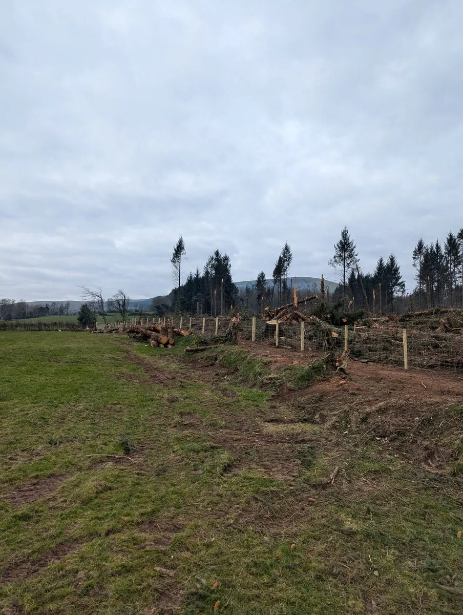 Fencing/digger work/farming work - Image 3