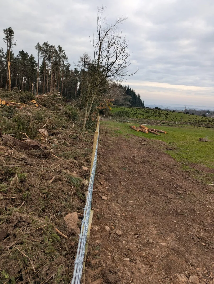 Fencing/digger work/farming work - Image 2
