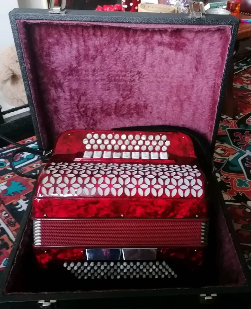 Beautiful Accordion with NO Name! - Image 1