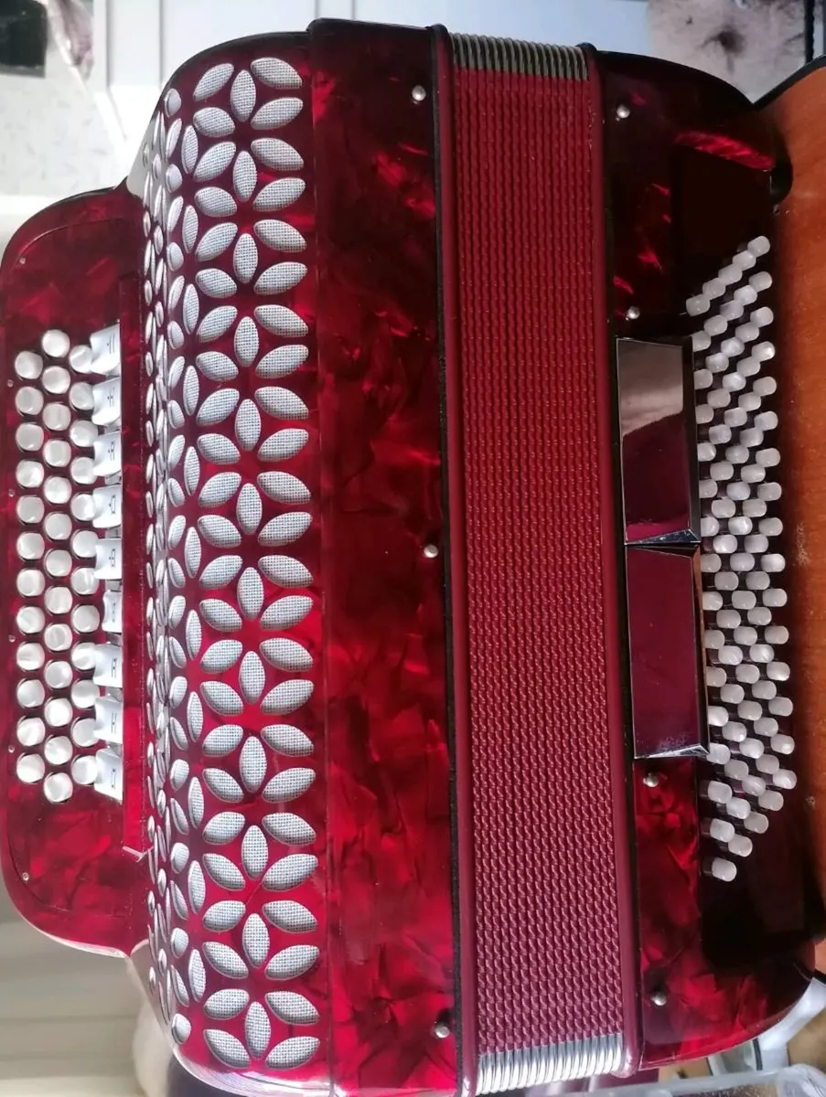 Beautiful Accordion with NO Name! - Image 2