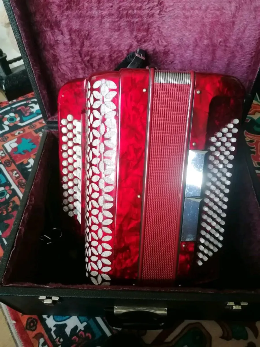 Beautiful Accordion with NO Name! - Image 3