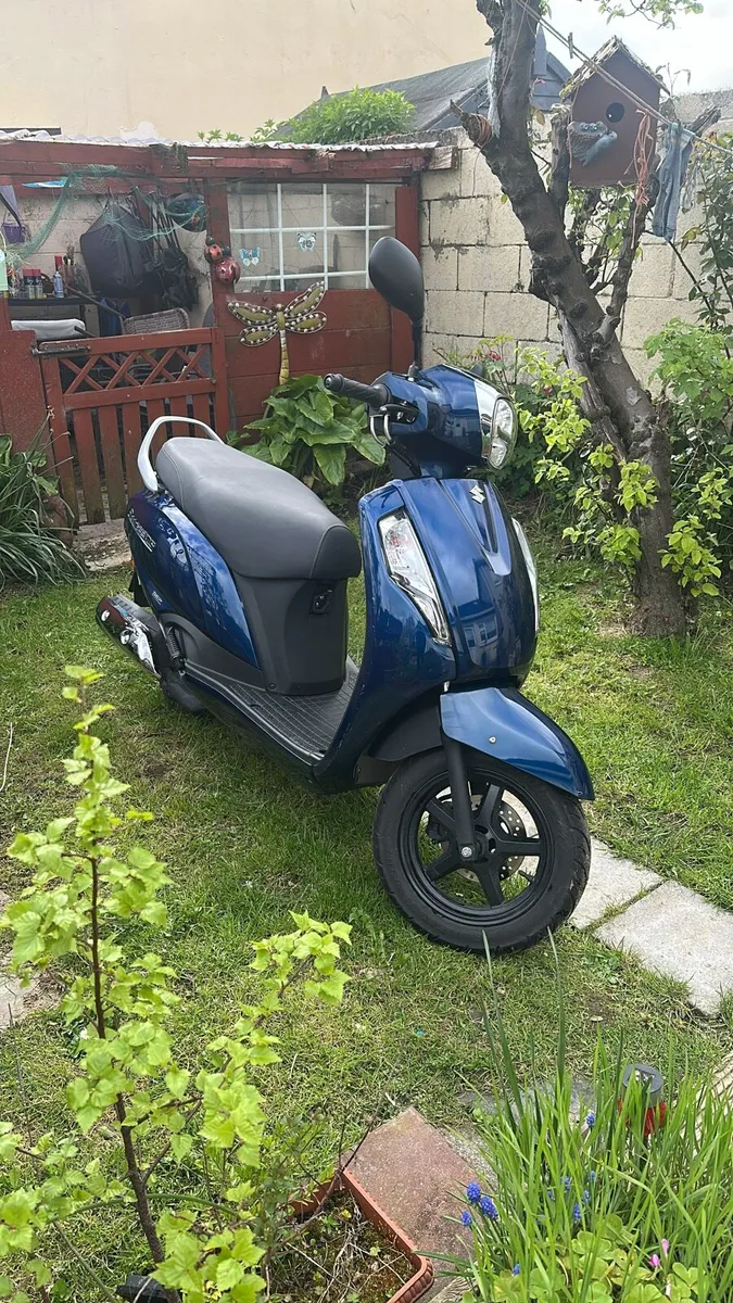 Suzuki address - Image 2