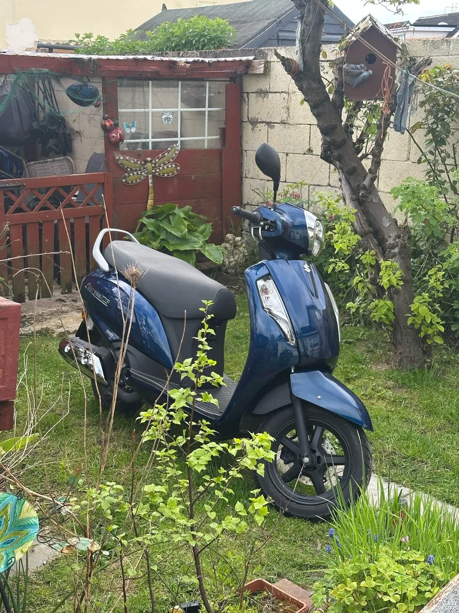 Suzuki address - Image 4