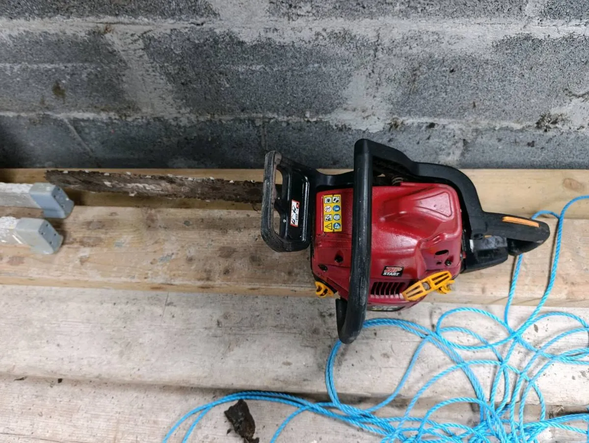 Chainsaw - Image 2