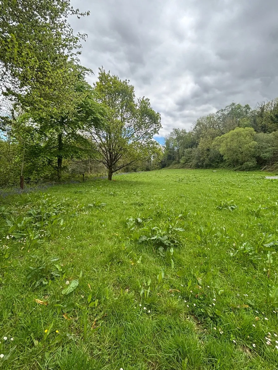 2 acres near Fermoy for sale. - Image 2