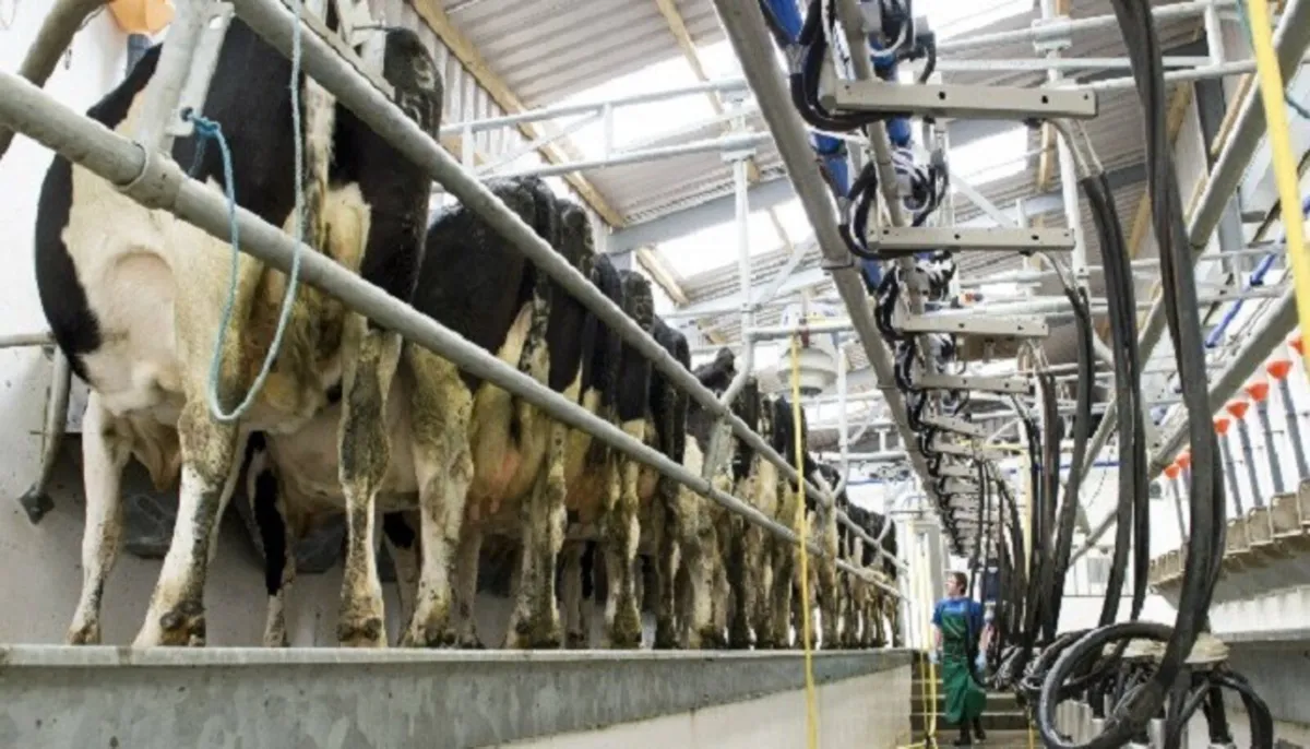 Relief/ Part time milker available