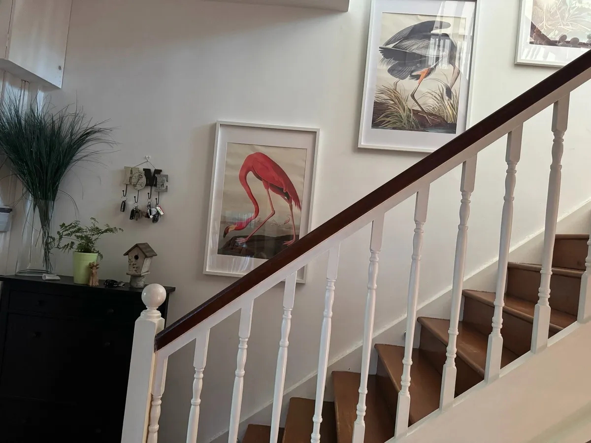 4 large prints in frames - Image 1